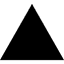 Vercel Icon